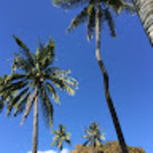 Meet your Posher, Celine